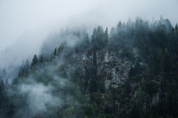 Moody atmosphere during a rainy and foggy day in the forest of Val di Genova, Trentino Alto Adige, Northern Italy