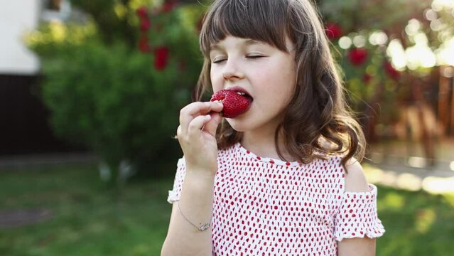 Little girl, child enjoying with close eyes eats red big strawberry at backyard home garden on summer holiday. The kid eats fresh, juicy, organic berries outdoors. Natural vitamins for children