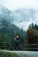 A hiker is looking the forest of Val di Genova during a foggy and rainy autumn day, Trentino Alto Adige, Northern Italy