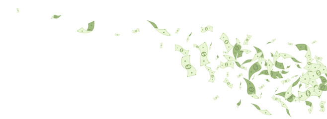 Swirl Dollar Vector White Panoramic Background.