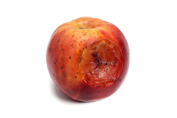 Obraz premium Red rotten apple on white background