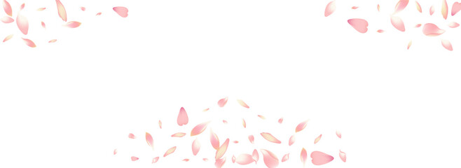 Pink Lotus Petal Vector White Background. Purple