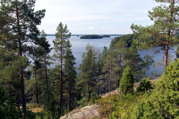 View of lake region during summer
