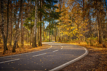 Asphalt footpath in fall park with gold fallen leaves. Sunny day in autumn forest at national park with curvy roadway. Road in forest. Scenic fall landscape of road through the park.
