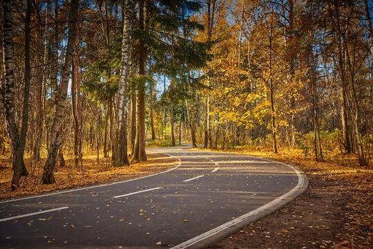 Asphalt footpath in fall park with gold fallen leaves. Sunny day in autumn forest at national park with curvy roadway. Road in forest. Scenic fall landscape of road through the park.