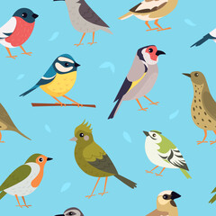 Birds pattern. Pigeons sparrow flying animals pictures for print design exact vector seamless backgrounds