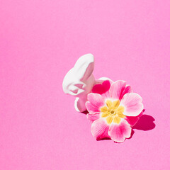 Obraz na płótnie Canvas pink flower on a pink background