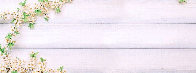 April floral nature banner. Spring blossom of may flowers on wooden. Branches of blossoming cherry against background. Copy space.
