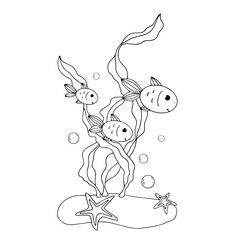 Coloring book, linear sketches of fish in algae at the bottom of the aquarium. Vector graphics.