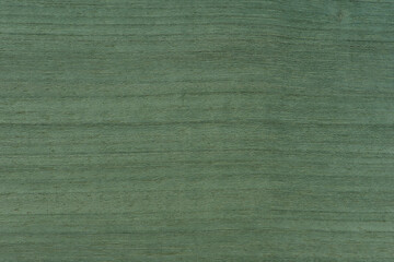Texture of green wood. The texture of koto wood with a greenish tint. Exotic rare wood from Africa for the production of expensive furniture or interior elements