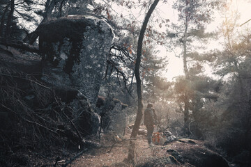 fire in the forest