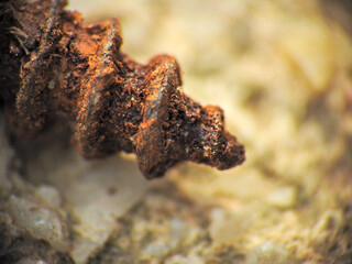rusty metal texture