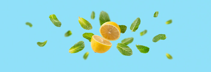 Fresh flying mint leaves and lemon halves isolated on blue background. Bright summer food...