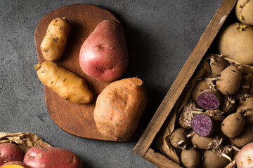 Different varieties of potatoes and sweet potatoes