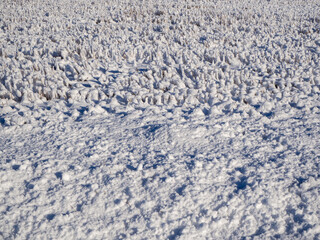 Snowy field in Finland