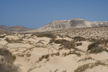 Fototapeta na wymiar Dunes of the Sotavento Beach in Jandia, Fuerteventura