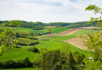 green hills in spring field