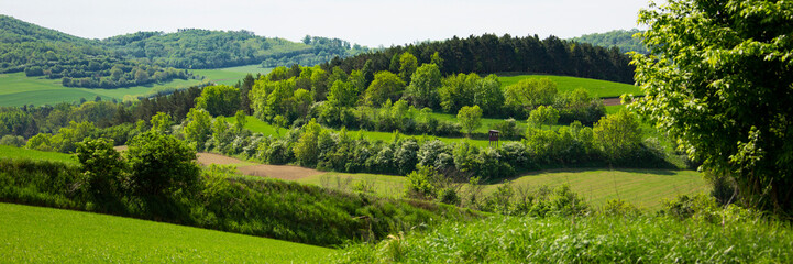 green landscape in austria weinviertel