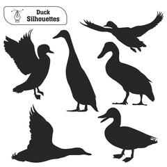 Fototapeta na wymiar Collection of Animal duck silhouette in different poses