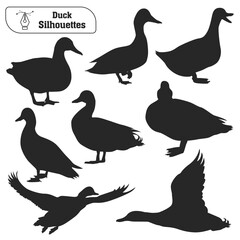 Collection of Animal duck silhouette in different poses