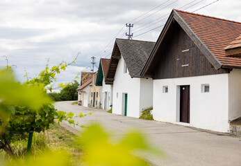 Fototapeta na wymiar rural houses for vine production and street