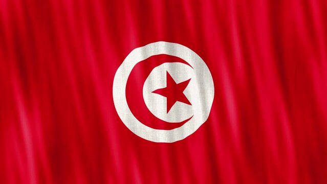 Tunisia National Flag. Seamless loop animation closeup waving. 