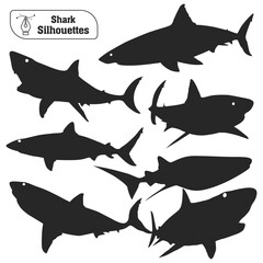 Vector collection of animal shark silhouette in different poses
