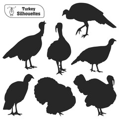 Vector collection of animal turkey silhouette in different poses