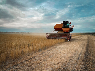 old combine harvester working on a field