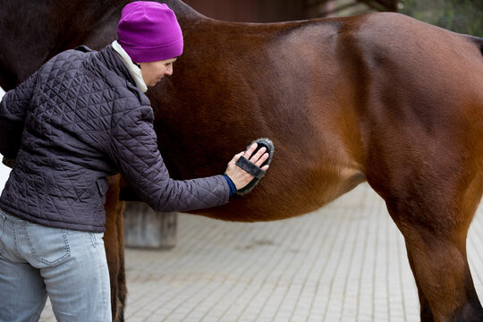horsewoman comb a horese with a currycomb