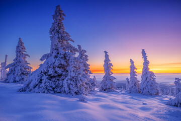 Scenic winter sunrise in mountains