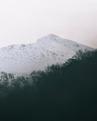 snow covered mountains