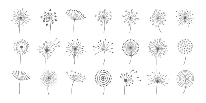 Dandelion fluffy flower flat icons set. Floral design. Summer flowers blossom. Blowball