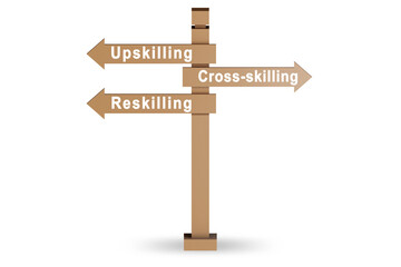 At the crossroads choosing between up-skilling and re-skilling