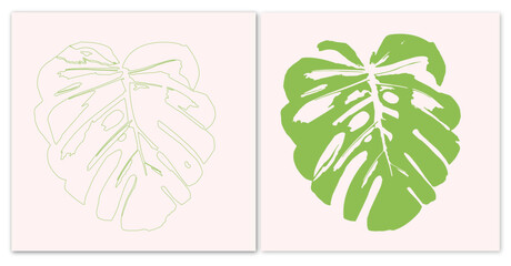 Green monstera leaf with and without filling © Vernica