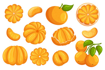 Set Of Mandarin Fruits, Bright And Juicy Fresh Citrus, Snacking Tasty Fruits. Peeled, Unpeeled, Whole And Sliced