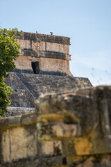 Photo of the pyramid in Chichen Itza taken through the plants.