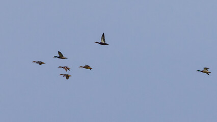 Hey guys, wait up!!!