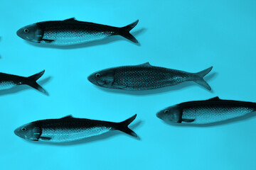 fishes on blue background
