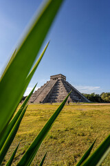 Photo of the pyramid in Chichen Itza taken through the plants.