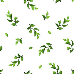 Floral pattern with green branches with leaves on a white background. Vector floral print