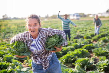 Farmers chase after fleeing woman who stole cabbage from a farm field