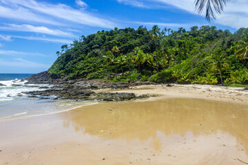 Rocks and forest at Camboinha beach