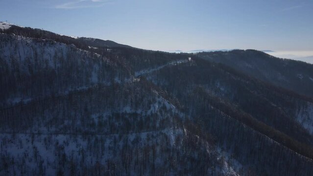 Old Mountain Balkan Stara Planina Babin Zub tourist resort in winter day covered with snow