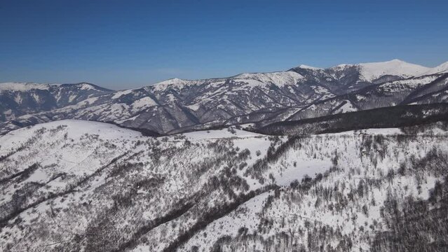 Old Mountain Balkan Stara Planina Babin Zub tourist resort in winter day covered with snow