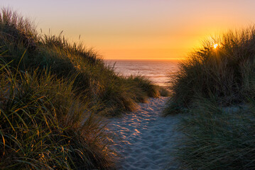 Sandy Pathway to the Ocean at Sunset