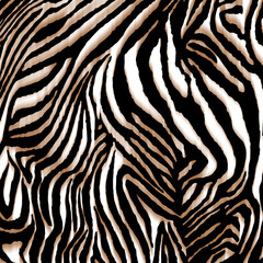 Illustration zebra texture, tiger texture, animal print.