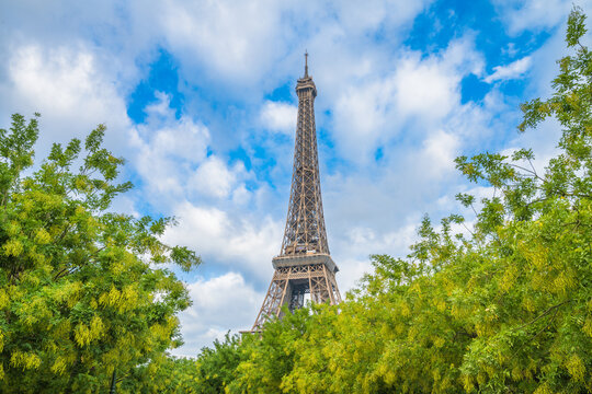 Eiffel Tower seen from the park in Paris. France