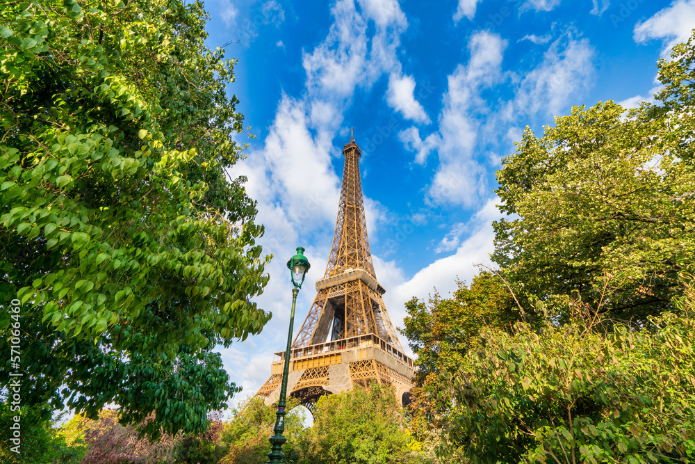 Poster Eiffel Tower seen from the park on sunny day in Paris. France