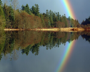 Reflected Rainbow